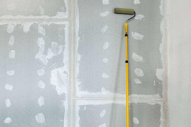 Best Black Mold Removal  in Clayton, NC