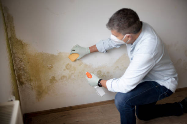 Best Forensic Mold Investigation  in Clayton, NC