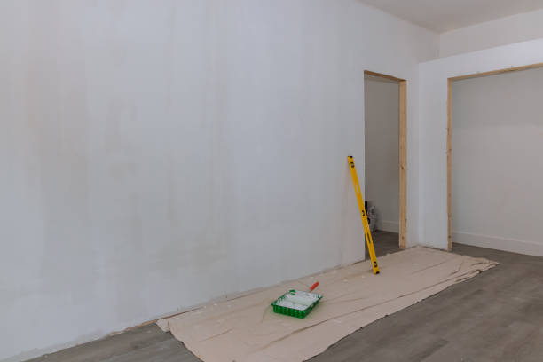 Best Asbestos and Lead Testing During Mold Inspection  in Clayton, NC