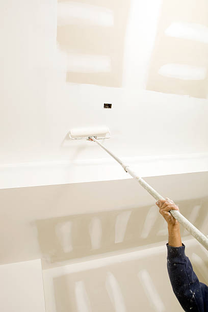 Best Mold Odor Removal Services  in Clayton, NC