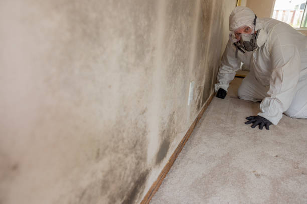 Best Airborne Mold Testing  in Clayton, NC